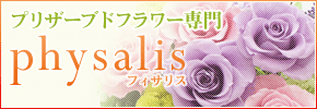 プリザーブドフラワー専門オンラインショップ:Physalis(フィサリス)