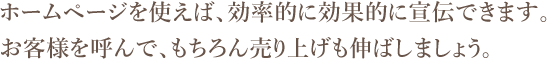 ホームページを使えば、効率的に効果的に宣伝できます。 お客様を呼んで、もちろん売り上げも伸ばしましょう。
